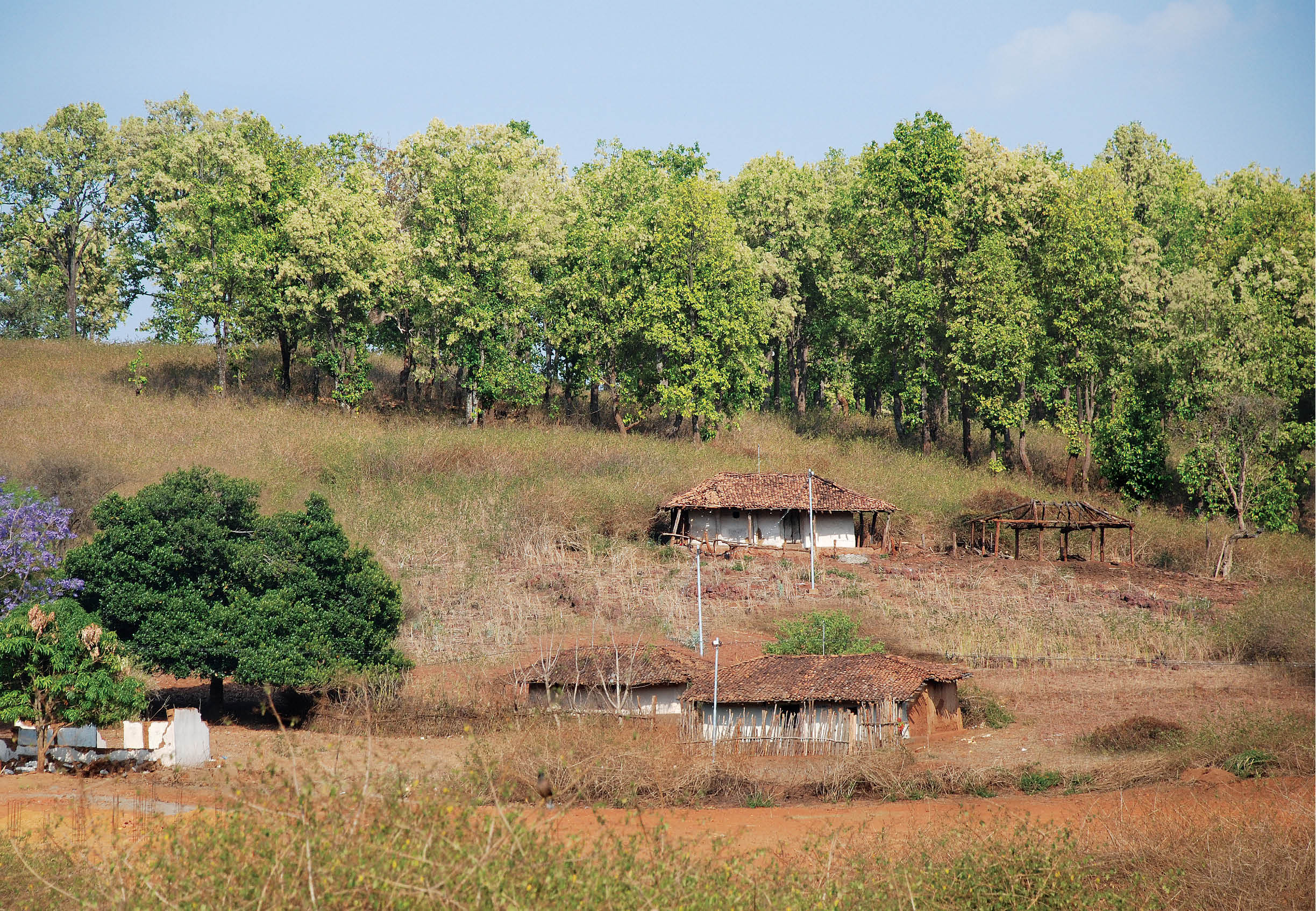 Convention on Biological Diversity